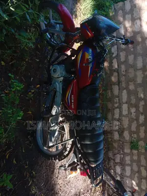 Bajaj Boxer 125 2019 Red