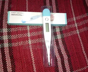Reading Digital Thermometer