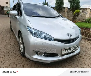 Toyota Wish 2010 Silver