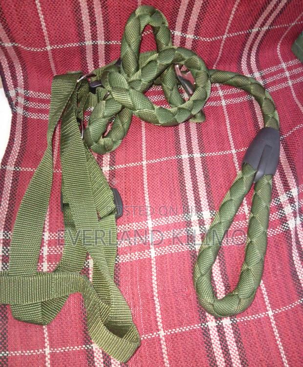 Pet Dog Harness Leash and Harness