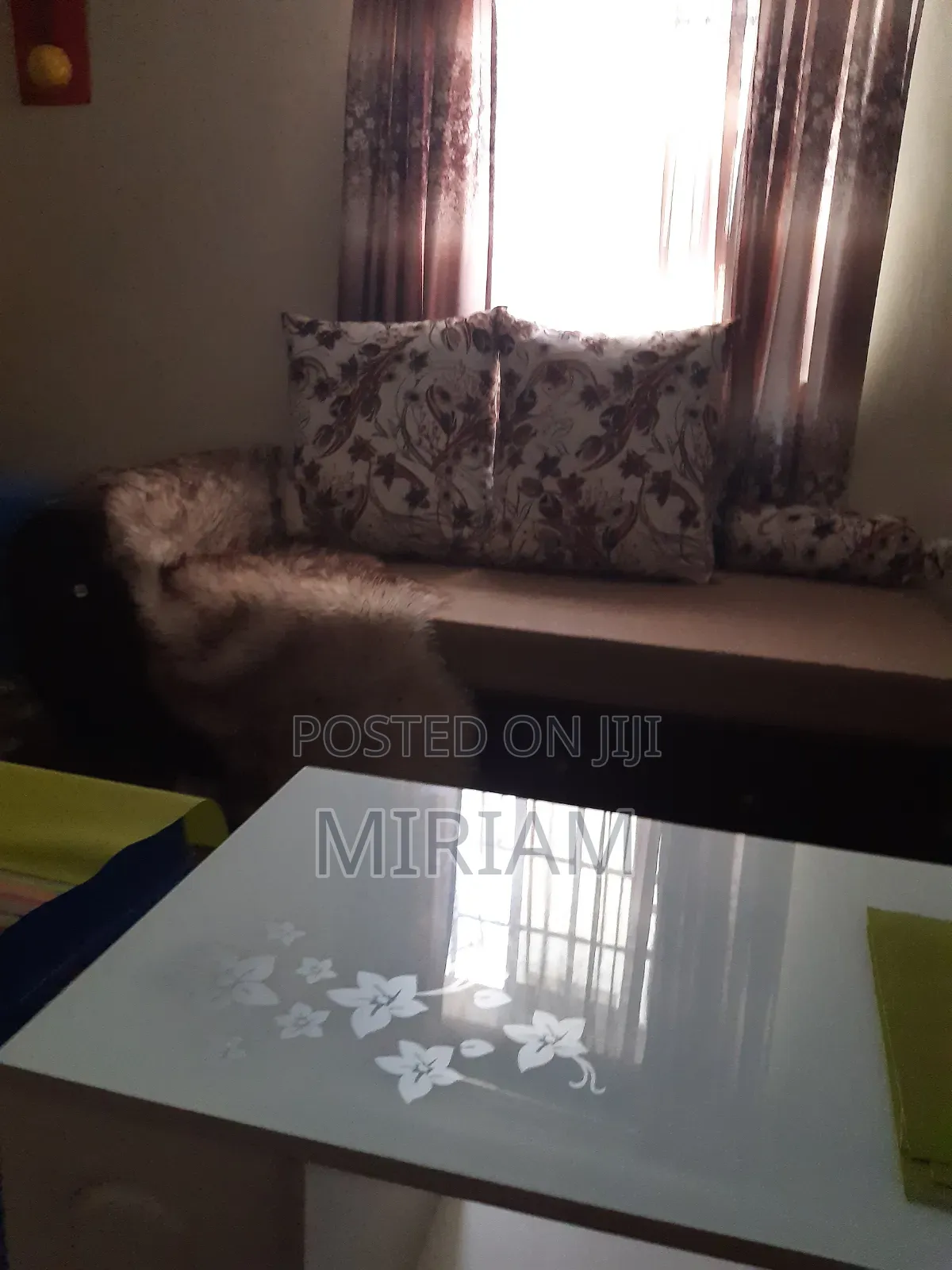 Sofa Bed Seat