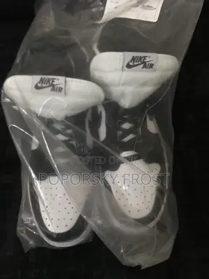 Air Jordan Sneaker