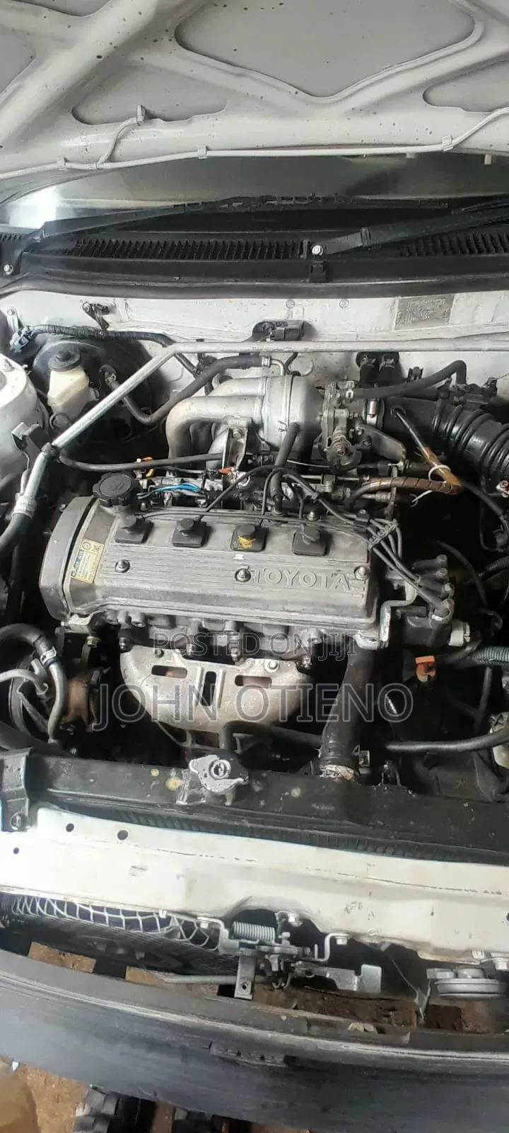 Toyota Corolla 2004 White