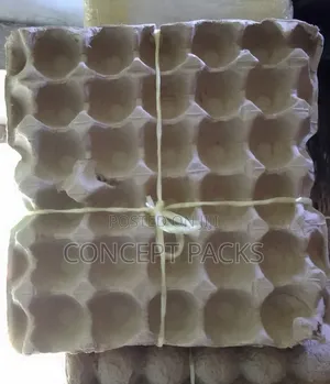 100pcs - Paper Egg Trays (30pc)