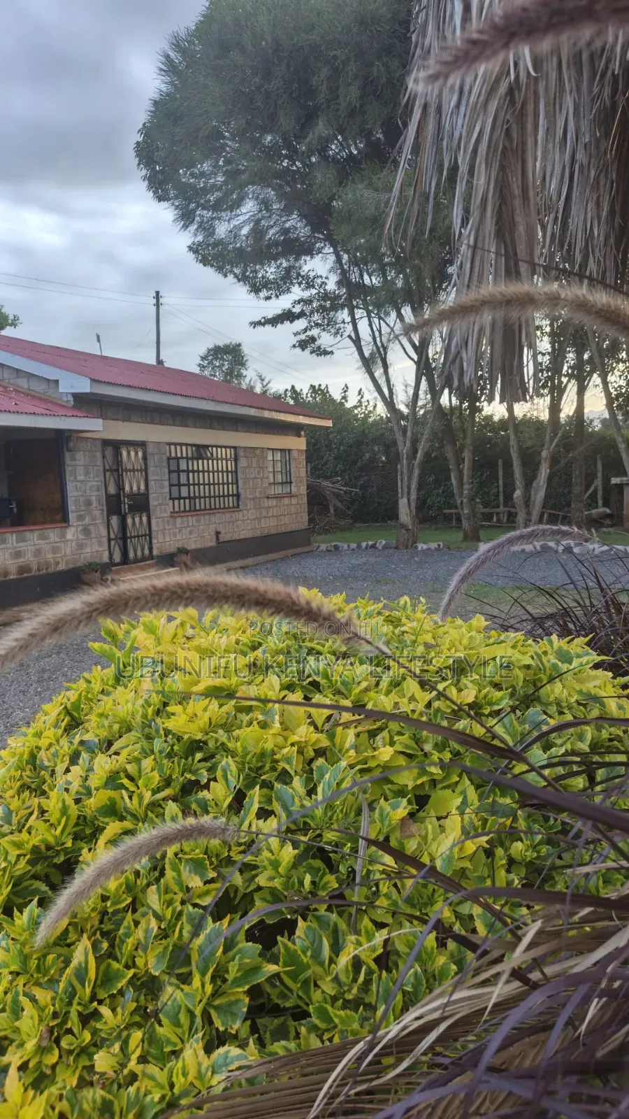 Furnished 1bdrm Bungalow in Peris, Kimumu for rent