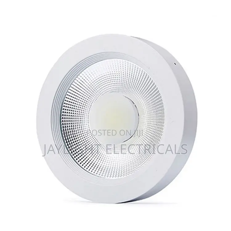 Ceiling Light Ac165-265v 30w Downlight Cob Surface Mounted
