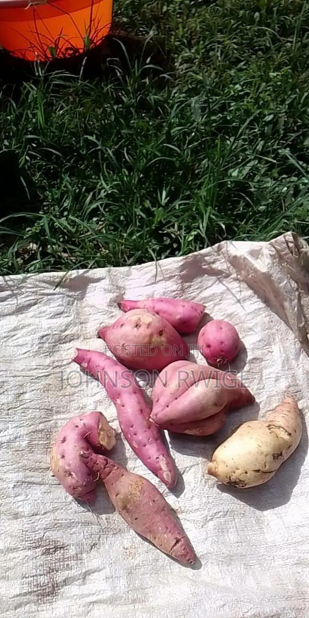 Potatoes Ready - main view