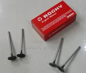 Engine Valves for 1nz