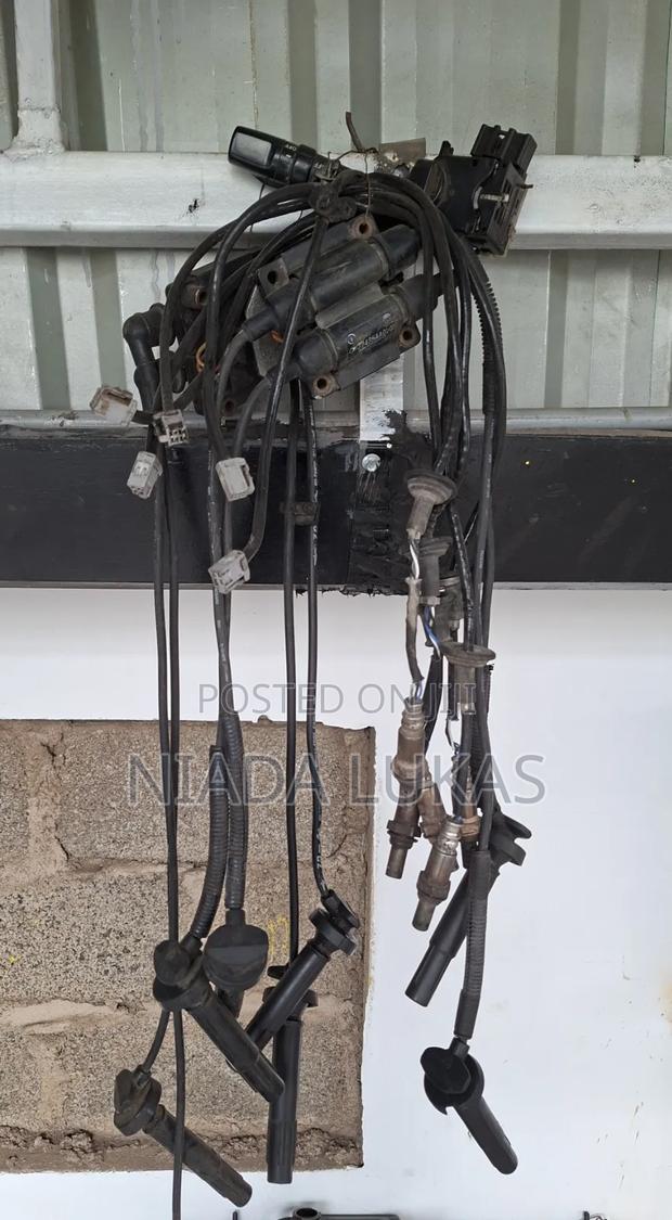 Lead Wires