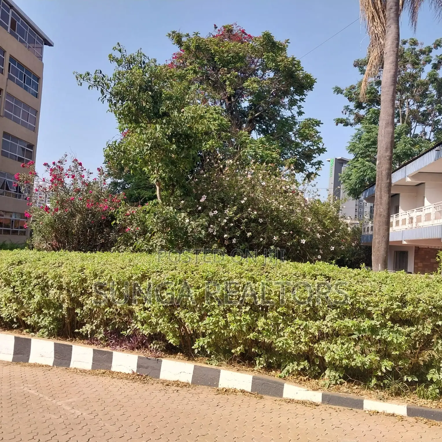 Commercial Property for Rent in Westlands