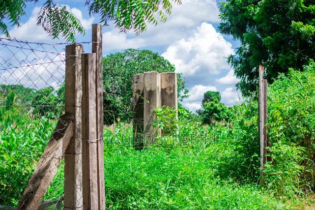 2 Acres for Sale Kilifi - thumbnail 5