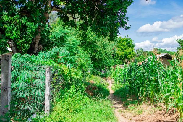 2 Acres for Sale Kilifi - thumbnail 6