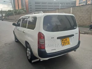 Toyota Probox 2008 Pearl