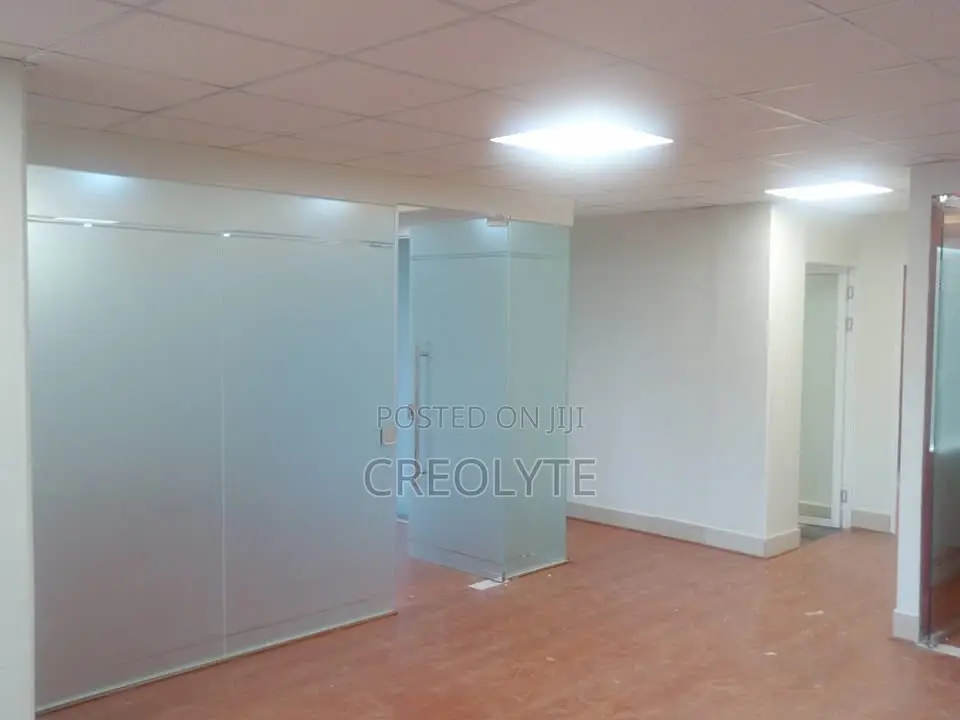 Frameless Frosted Glass Office Partition With Pivot Door
