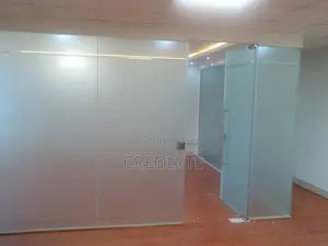 Frameless Frosted Glass Office Partition With Pivot Door
