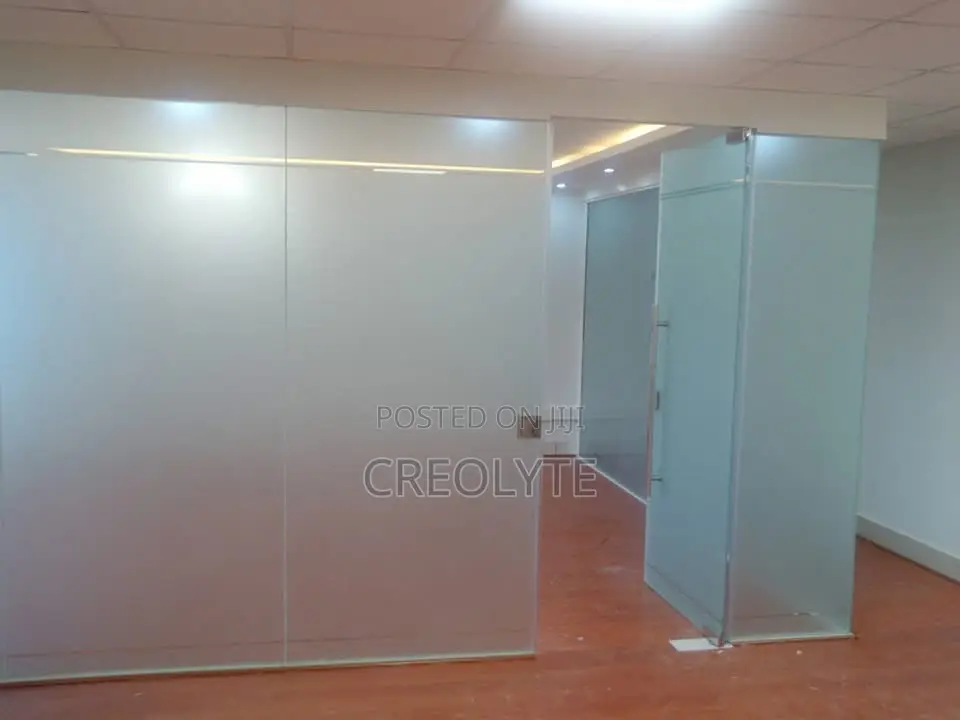 Frameless Frosted Glass Office Partition With Pivot Door