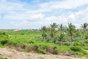 50 by 100 Feet Chumani Beach View Plots