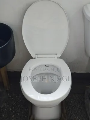 Back-to-Wall Toilet Pan