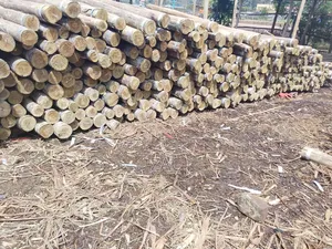 Fencing Posts #Fencing Services#