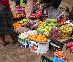 Foodstuff / Vegetables (Or Fresh Produce)