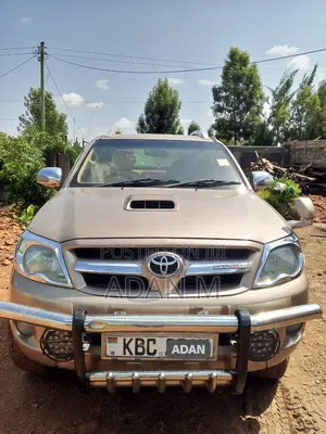 Toyota Hilux 2004 Brown