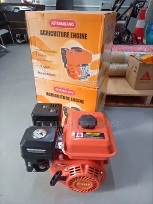 Astramilano 4-Stroke 7.5hp Petrol Engine for Chaff Cutters Water Pumps