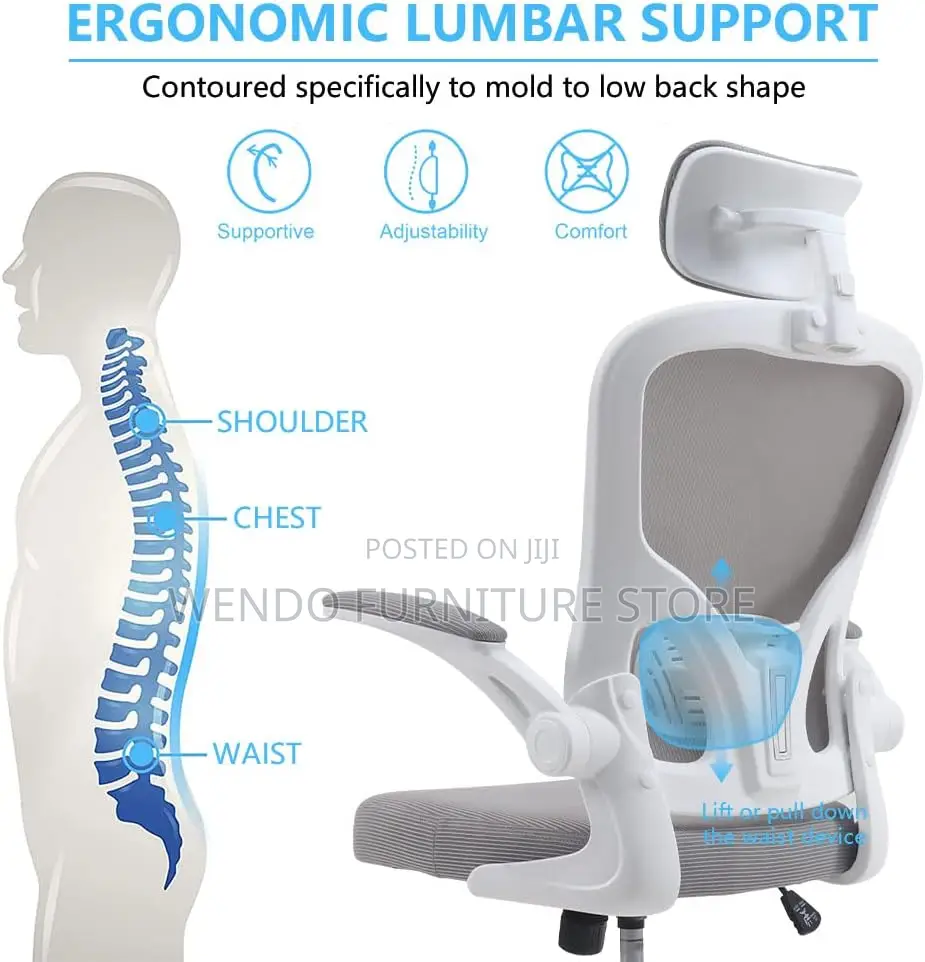 Office Chairs; White Orthopedic High Backrest Chairs