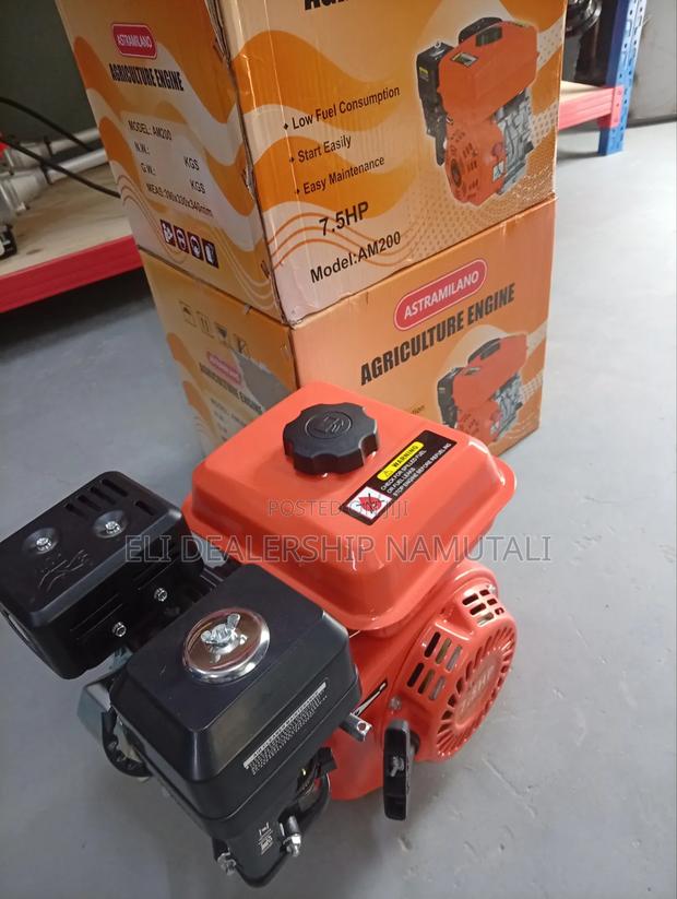 Heavy Duty 7.5hp Astramilano Gasoline Engine Am200 - thumbnail 2