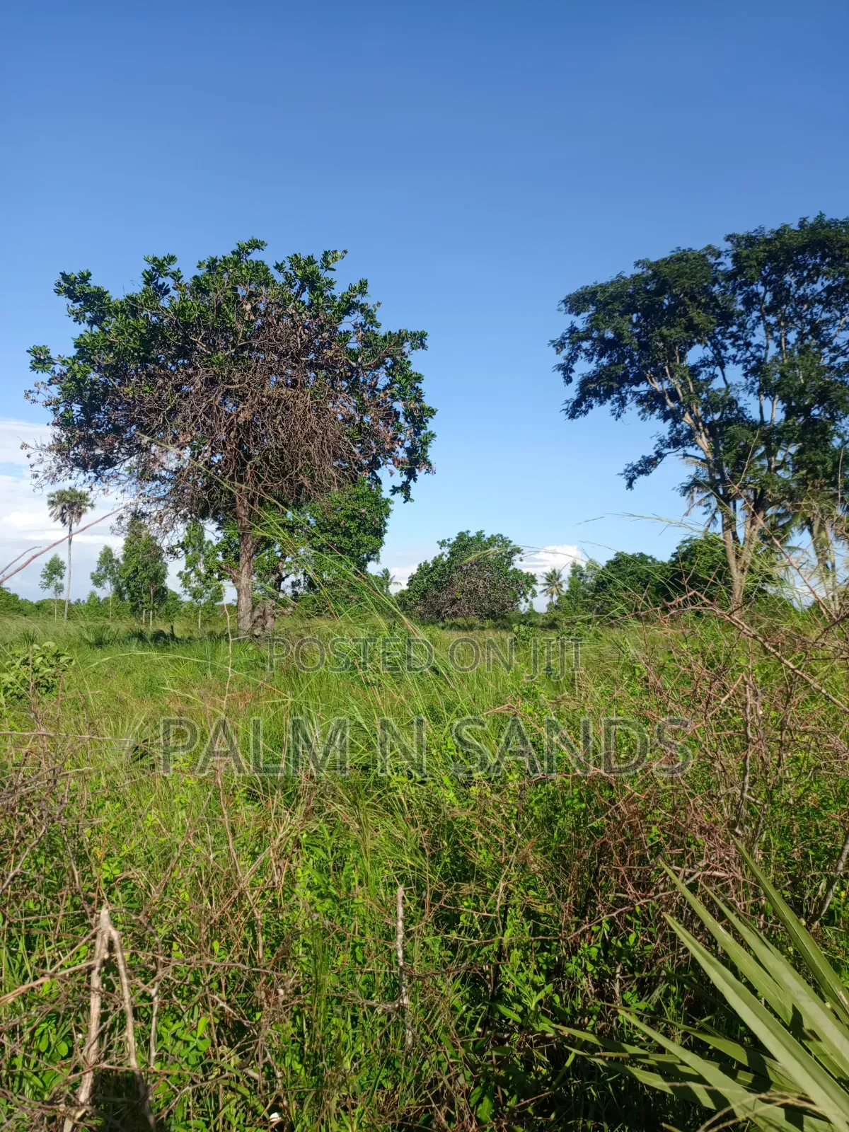 One Acre in Kinondo Diani on Sale!