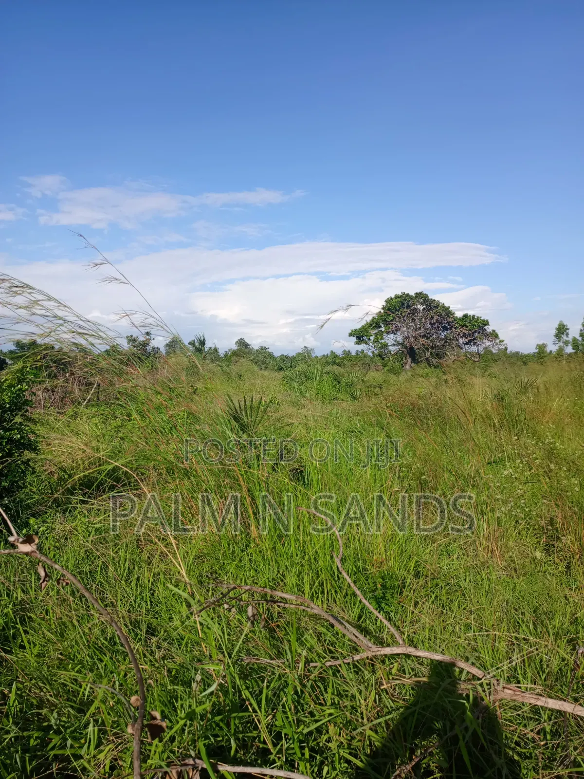 One Acre in Kinondo Diani on Sale!