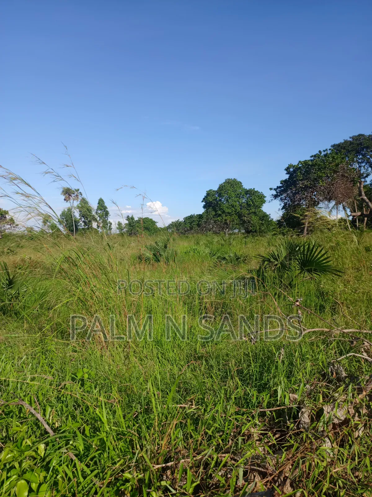 One Acre in Kinondo Diani on Sale!