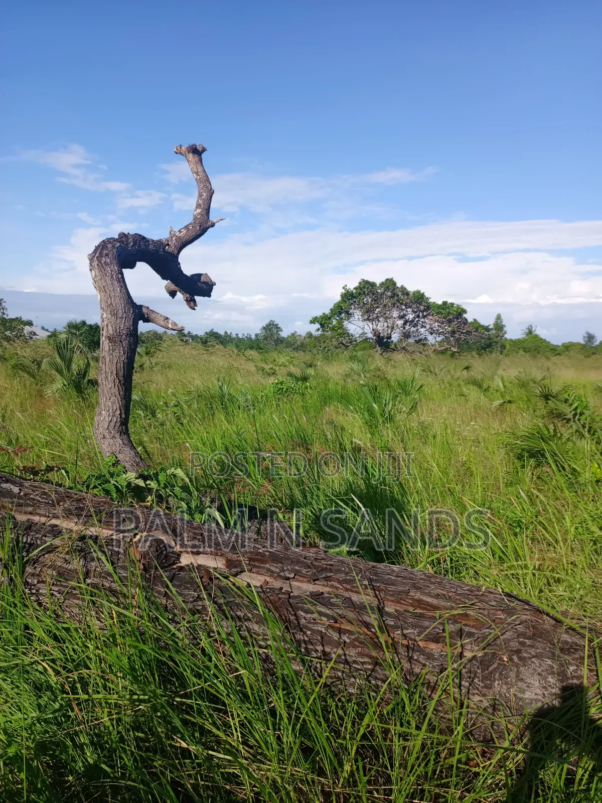 One Acre in Kinondo Diani on Sale!