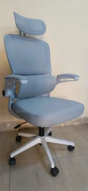 Headrest Office Orgonomic Office Chair 