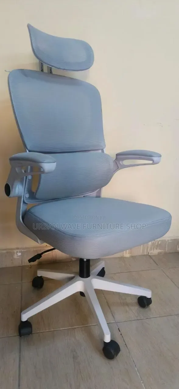 Headrest Office Orgonomic Office Chair 