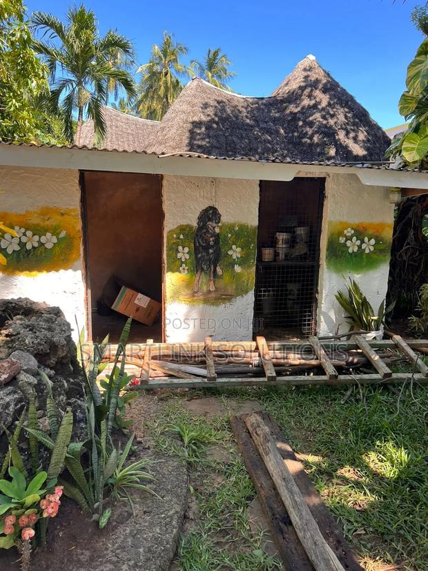 3bdrm Bungalow in Shimo La Tewa for rent - thumbnail 3