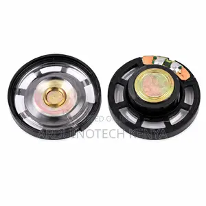 0.25w 8 Ohm Mini Internal Magnet Speaker.