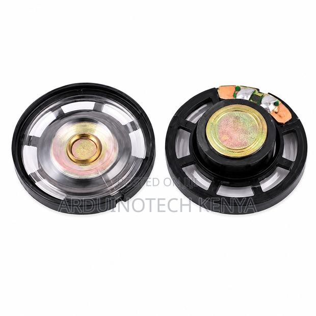 0.25w 8 Ohm Mini Internal Magnet Speaker.