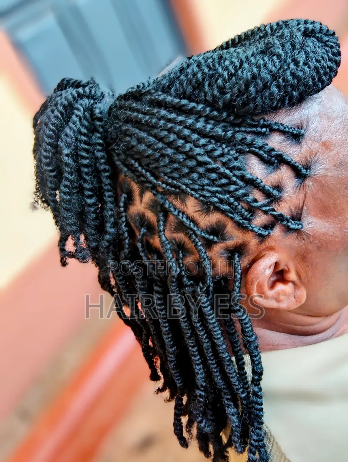 Mobile Hairdresser, Braids Twists