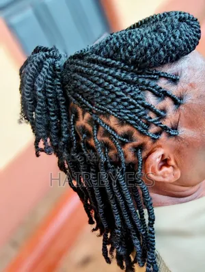Mobile Hairdresser, Braids Twists