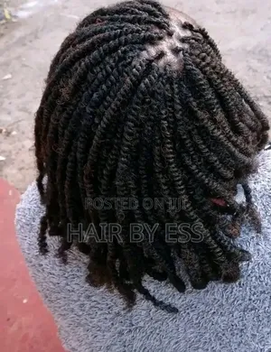 Mobile Hairdresser, Braids Twists