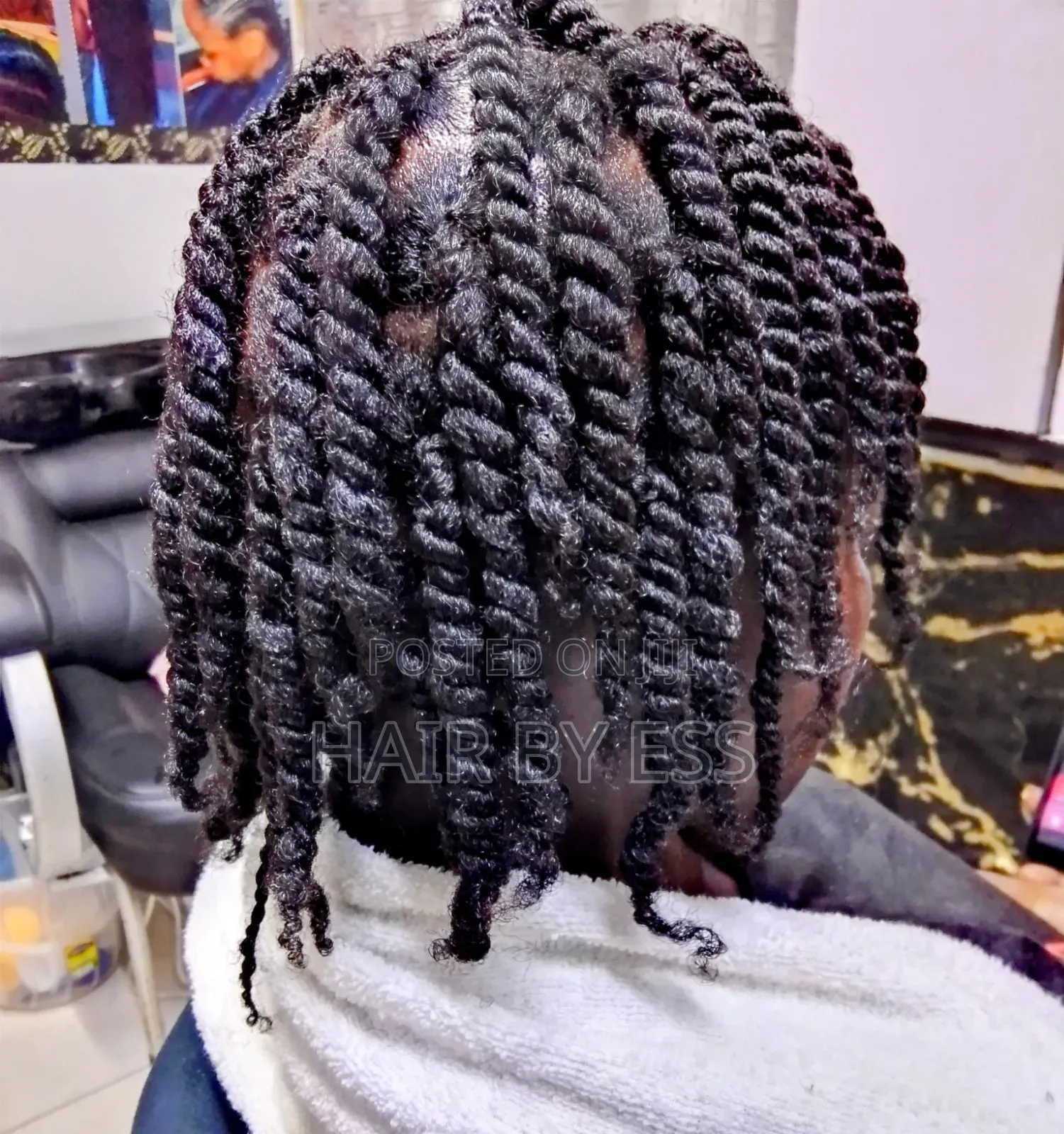Mobile Hairdresser, Braids Twists