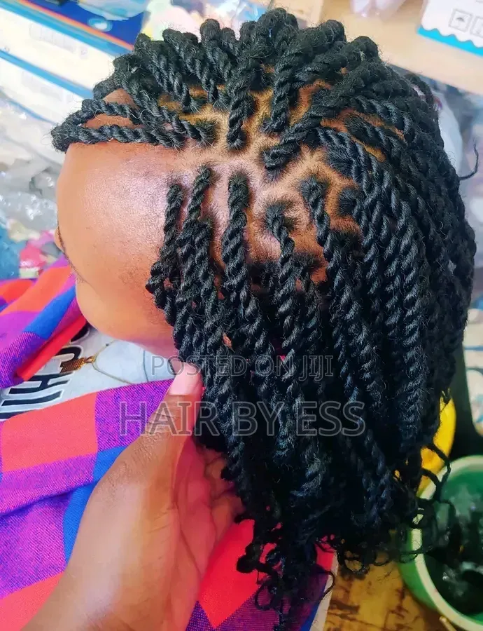 Mobile Hairdresser, Braids Twists