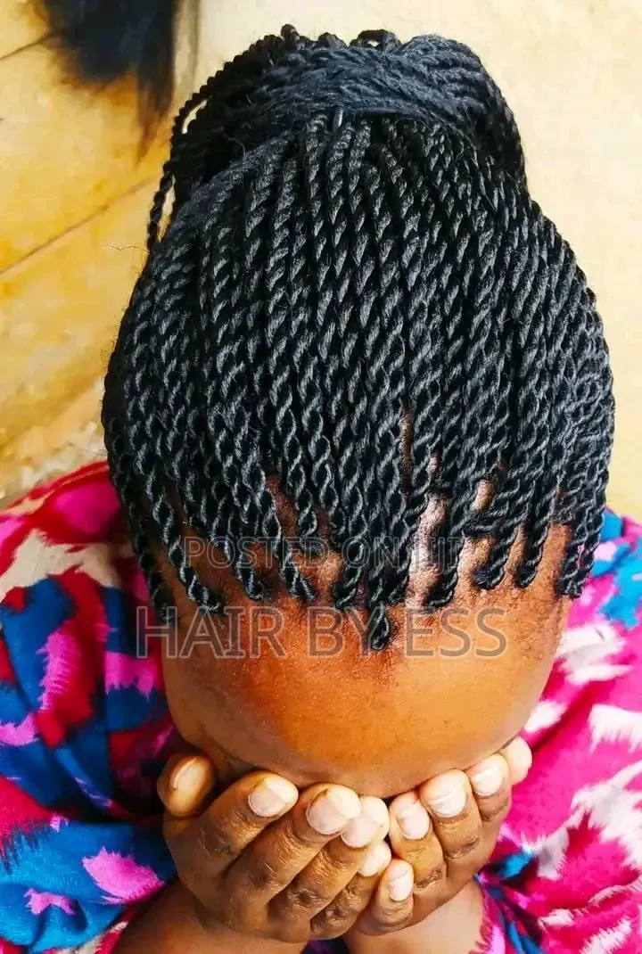 Mobile Hairdresser, Braids Twists