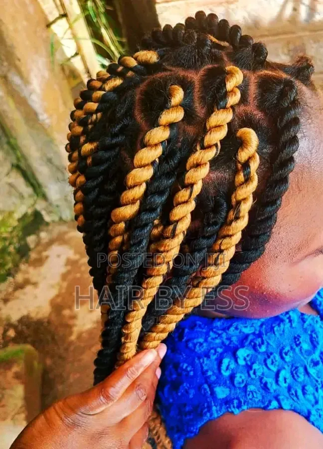 Mobile Hairdresser, Braids Twists