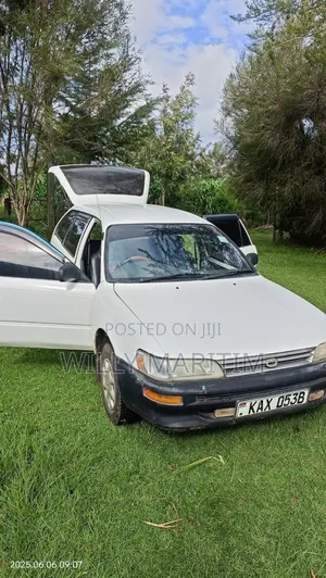 Toyota Corolla Station Wagon 1999 White