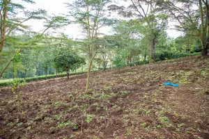 Prime 2-Acre Residential Land for Sale in Ngong – Matasia