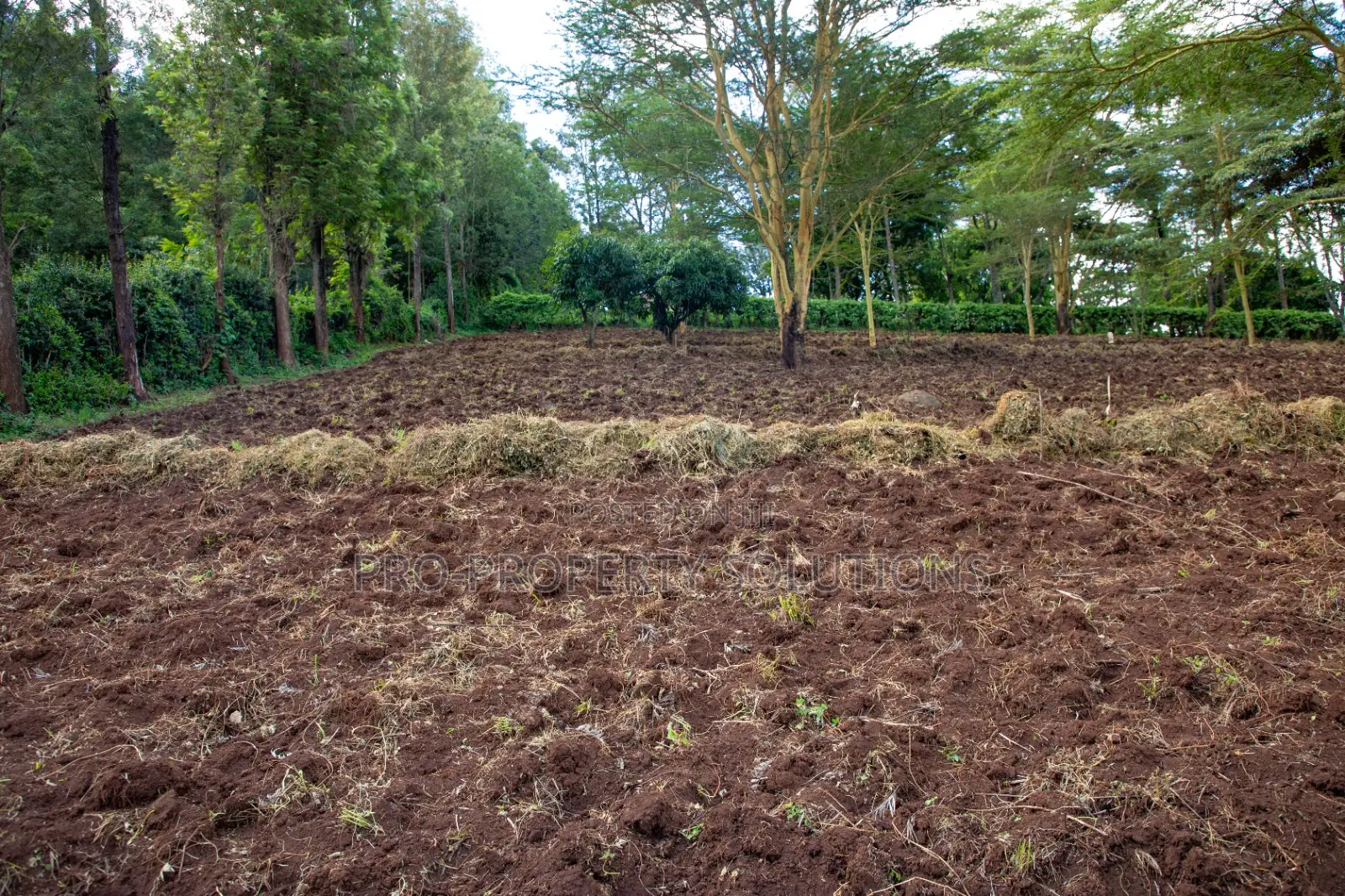 Prime 2-Acre Residential Land for Sale in Ngong – Matasia