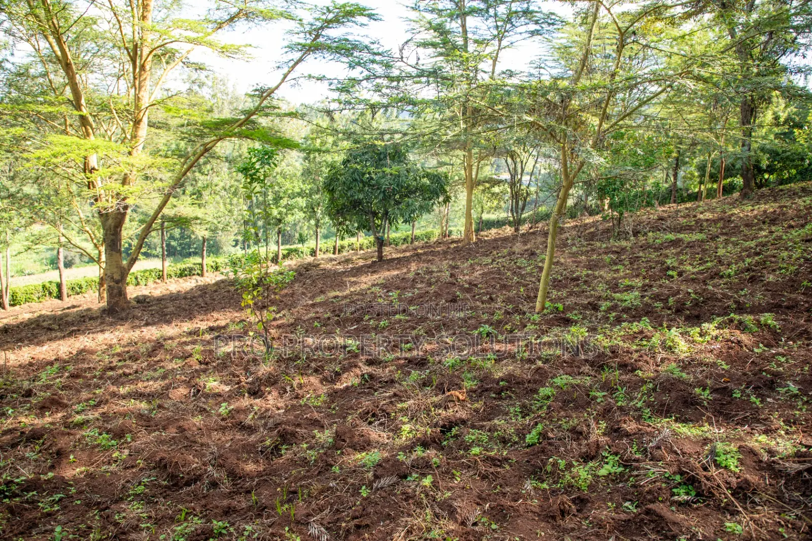 Prime 2-Acre Residential Land for Sale in Ngong – Matasia
