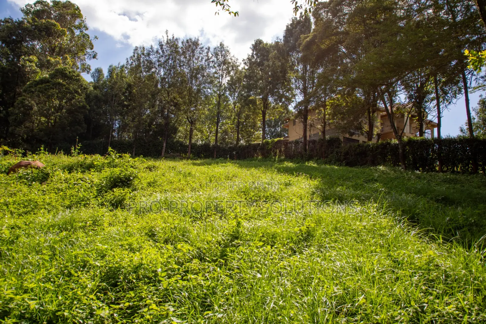 Prime 2-Acre Residential Land for Sale in Ngong – Matasia