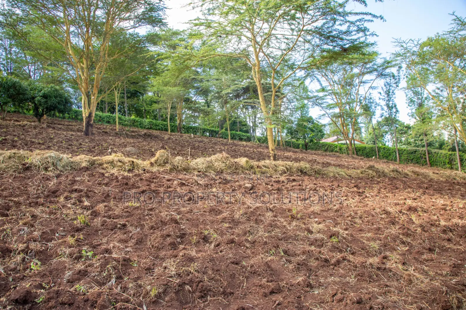 Prime 2-Acre Residential Land for Sale in Ngong – Matasia